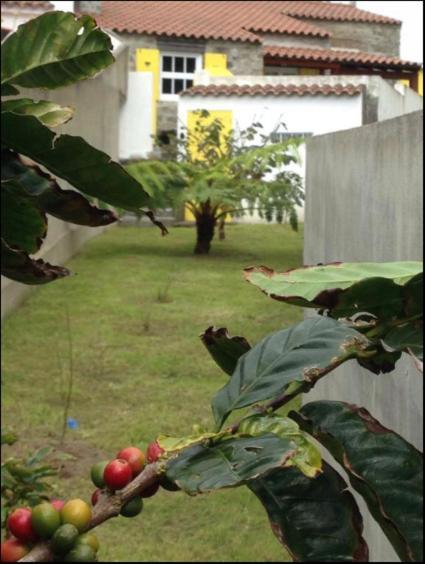 Villa Casa Auri Faial da Terra Esterno foto